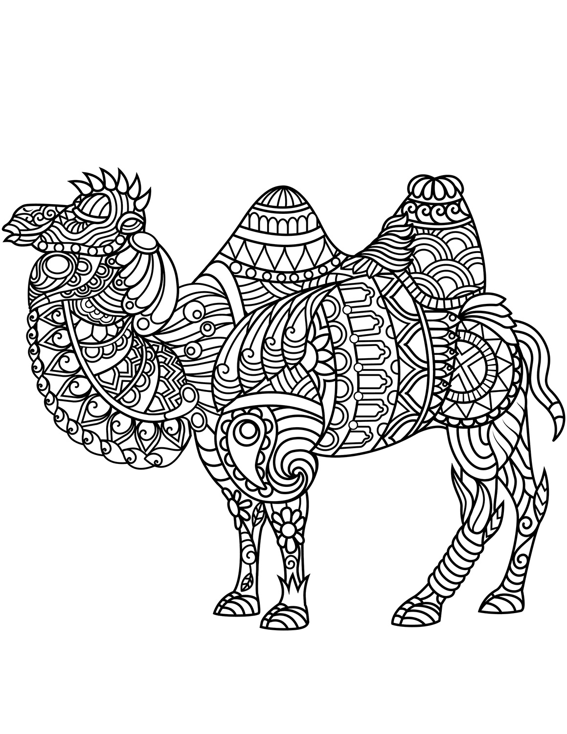 Bactrian Camel Zentangle da colorare