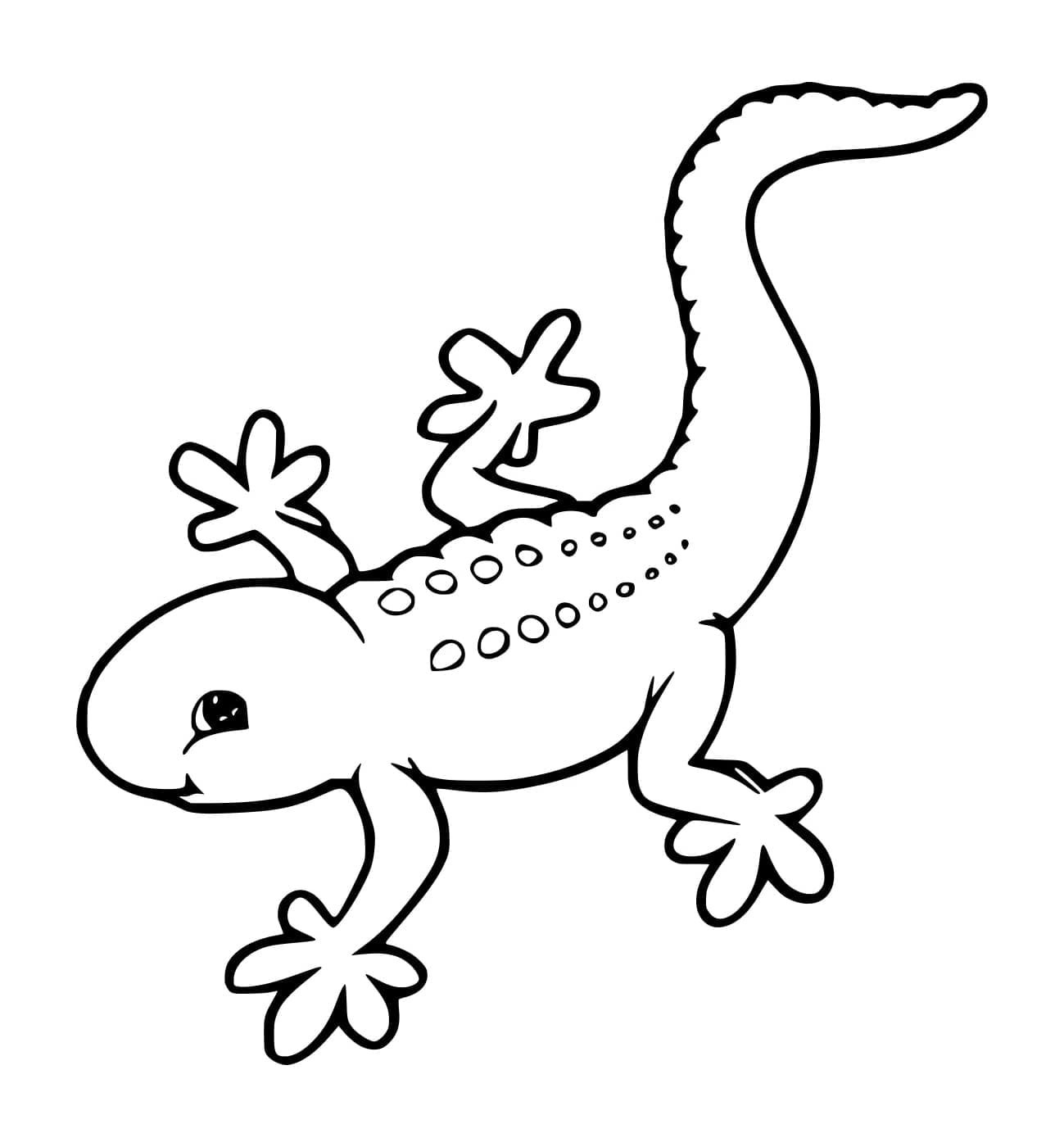 Geco carino gratuito da colorare Geco carino gratuito da colorare