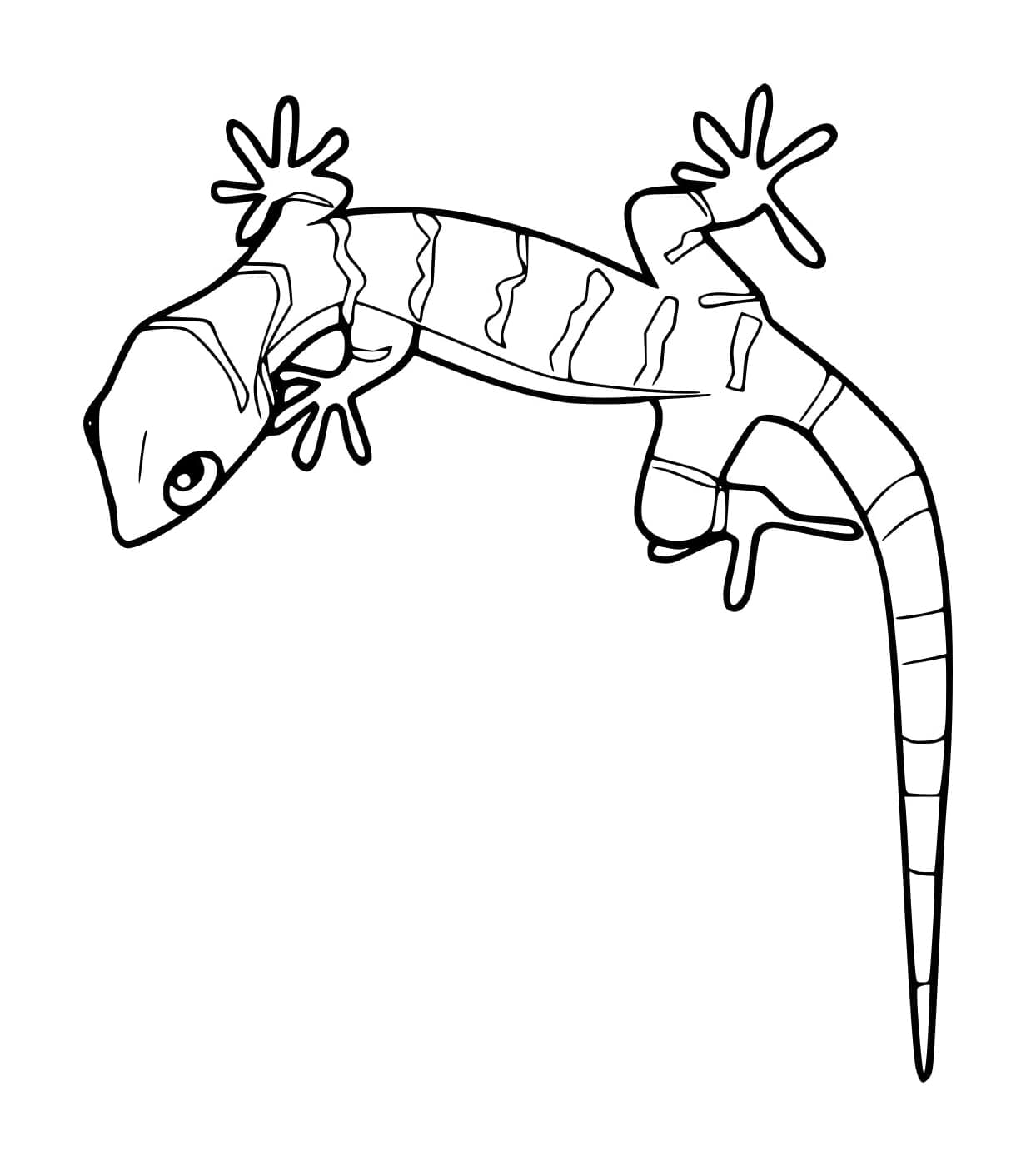 Geco fasciato gratuito da colorare Geco fasciato gratuito da colorare