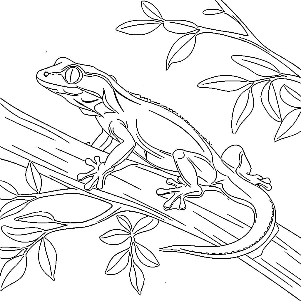 Geco su un albero gratuito da colorare Geco su un albero gratuito da colorare