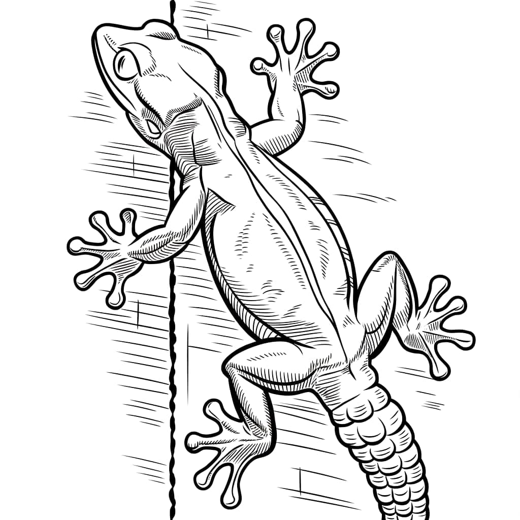 Grande Geco gratuito da colorare Grande Geco gratuito da colorare