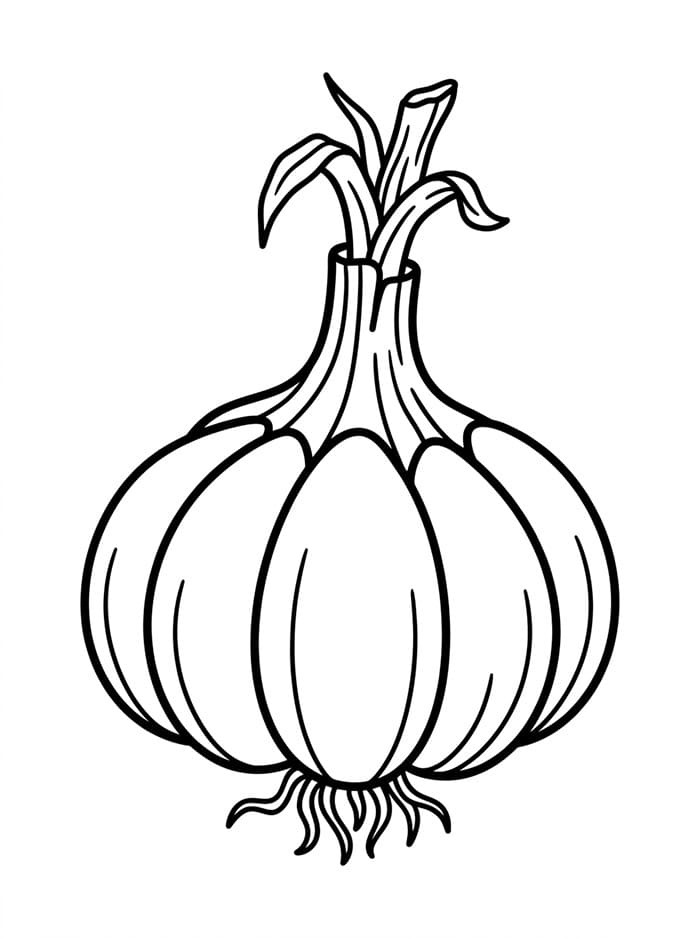 Aglio Gigante da colorare