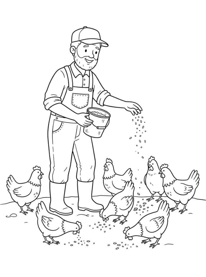 Agricoltore che dà da mangiare alle galline da colorare
