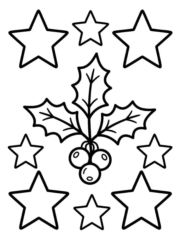 Agrifoglio e Stelle da colorare