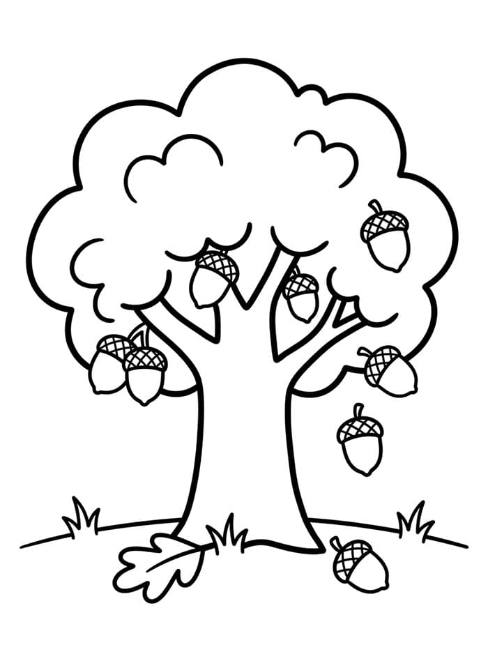 Albero di Ghiande da colorare