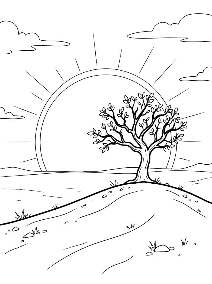 Albero solitario al tramonto da colorare