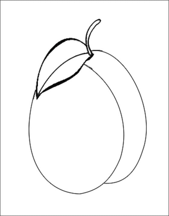 Albicocca facile da colorare