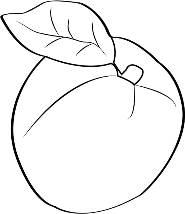 Albicocca normale da colorare