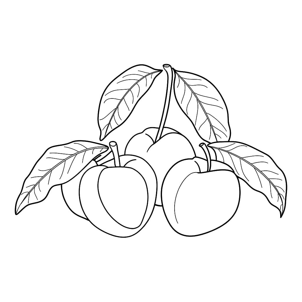 Albicocche deliziose da colorare