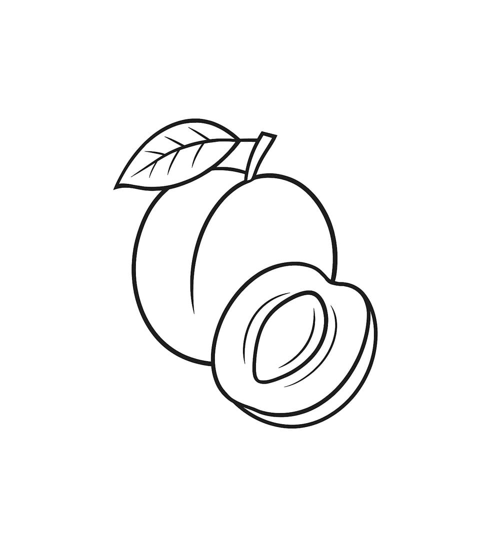 Albicocche e mezza albicocca da colorare