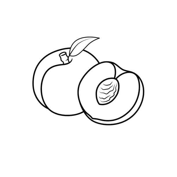 Albicocche in estate da colorare