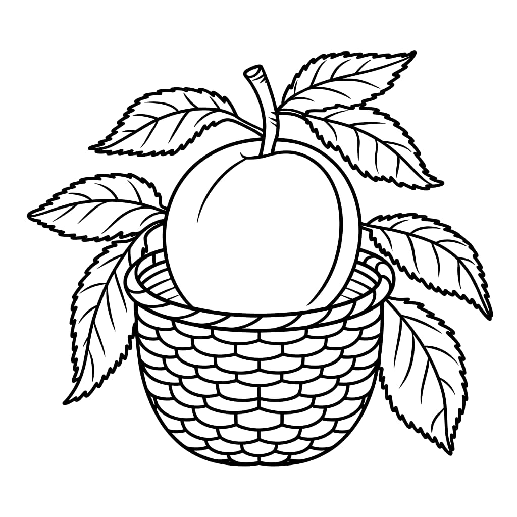 Albicocche in un cestino da colorare