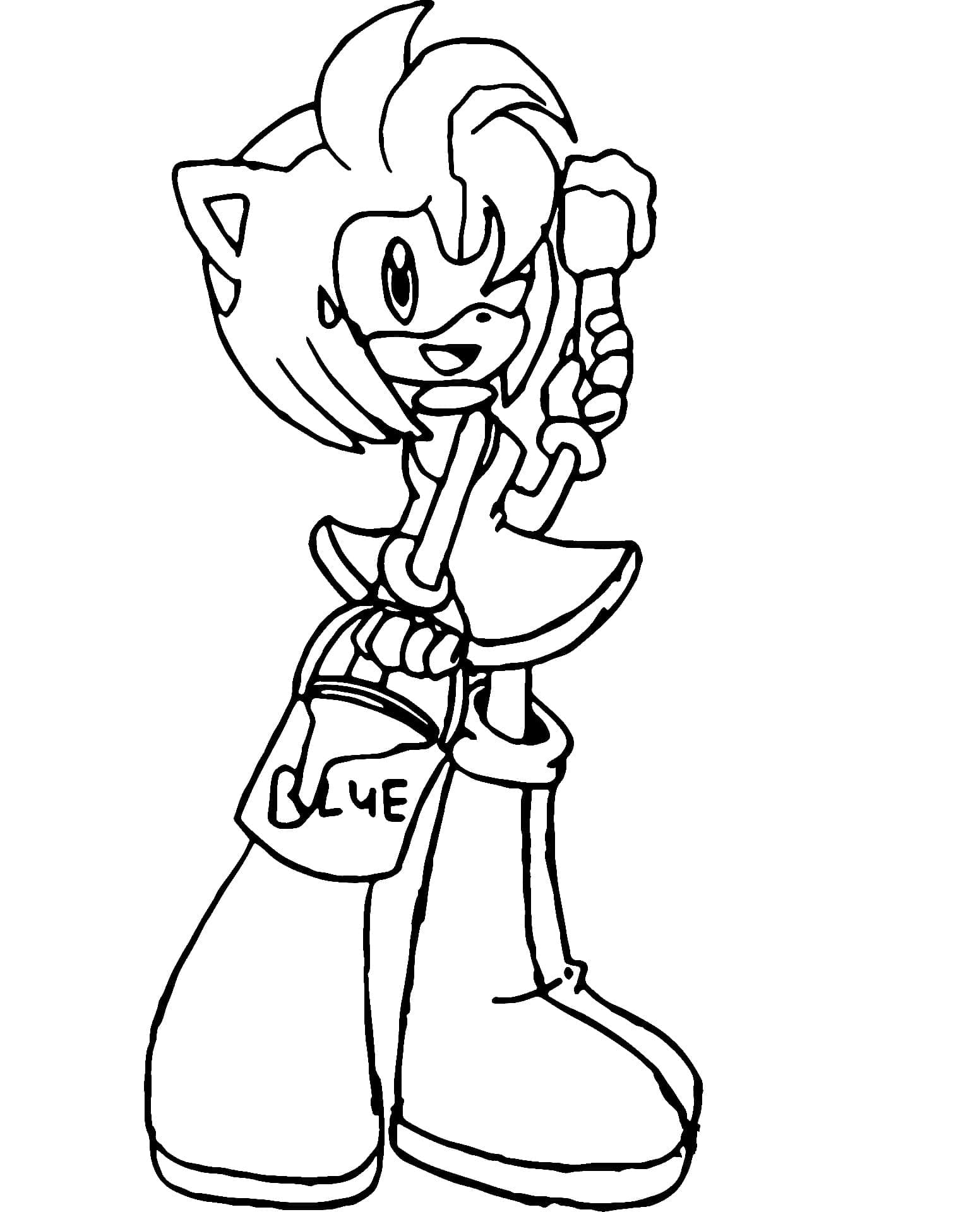 Amy Rose con la pittura da colorare