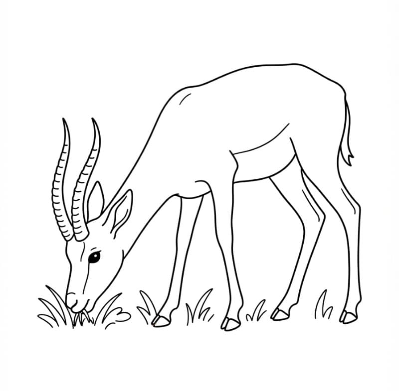 Antilope al pascolo da colorare