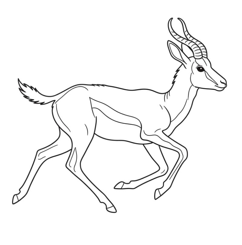 Antilope che corre da colorare