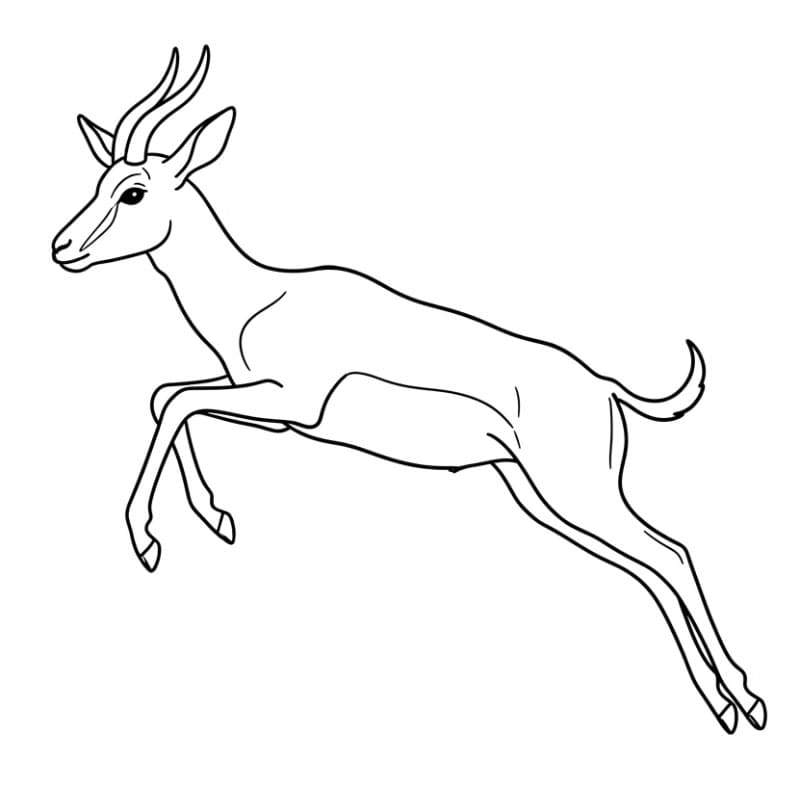 Antilope che salta da colorare