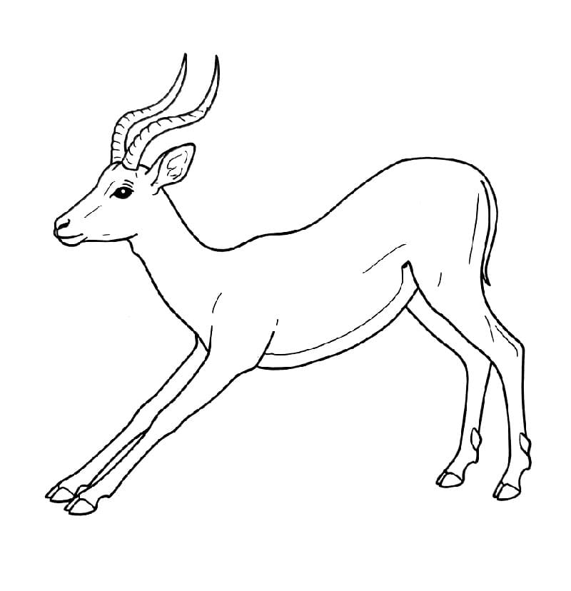 Antilope che si stiracchia da colorare