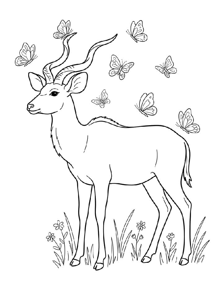 Antilope con farfalle da colorare