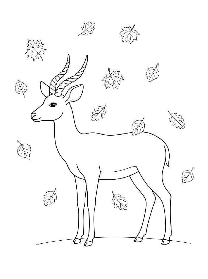 Antilope con foglie che cadono da colorare