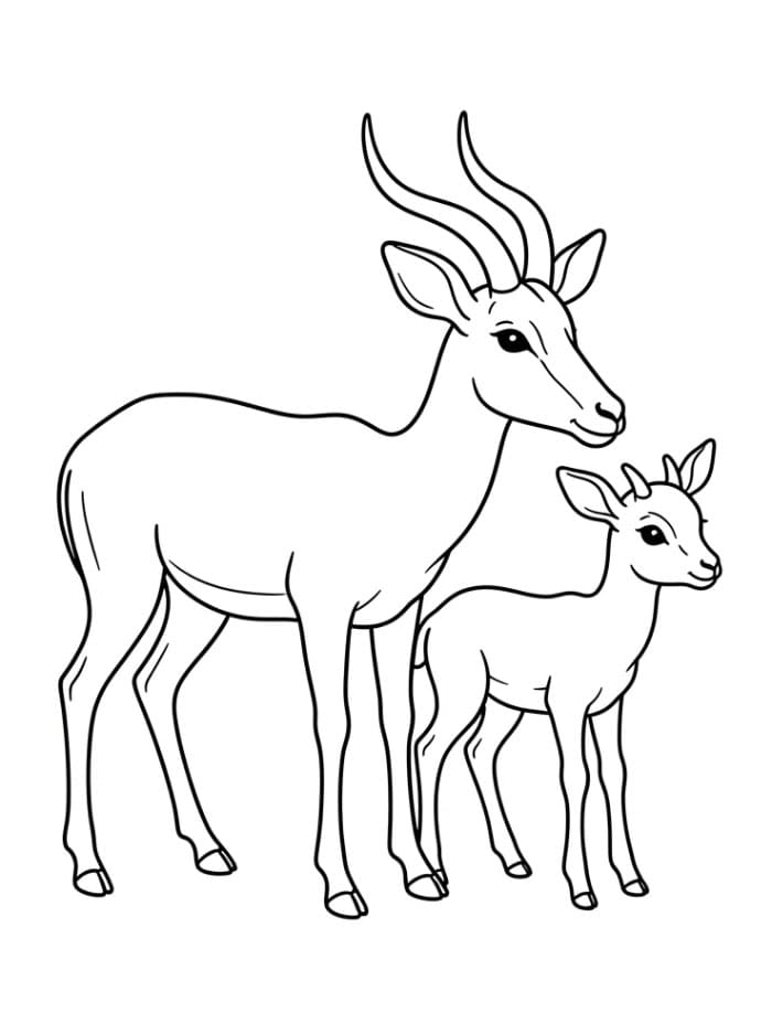 Antilope con piccolo in piedi da colorare