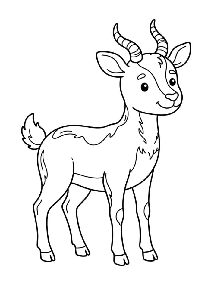Antilope graziosa da colorare