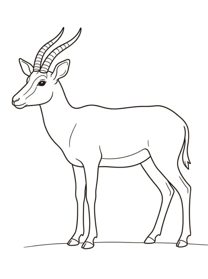 Antilope in piedi da colorare