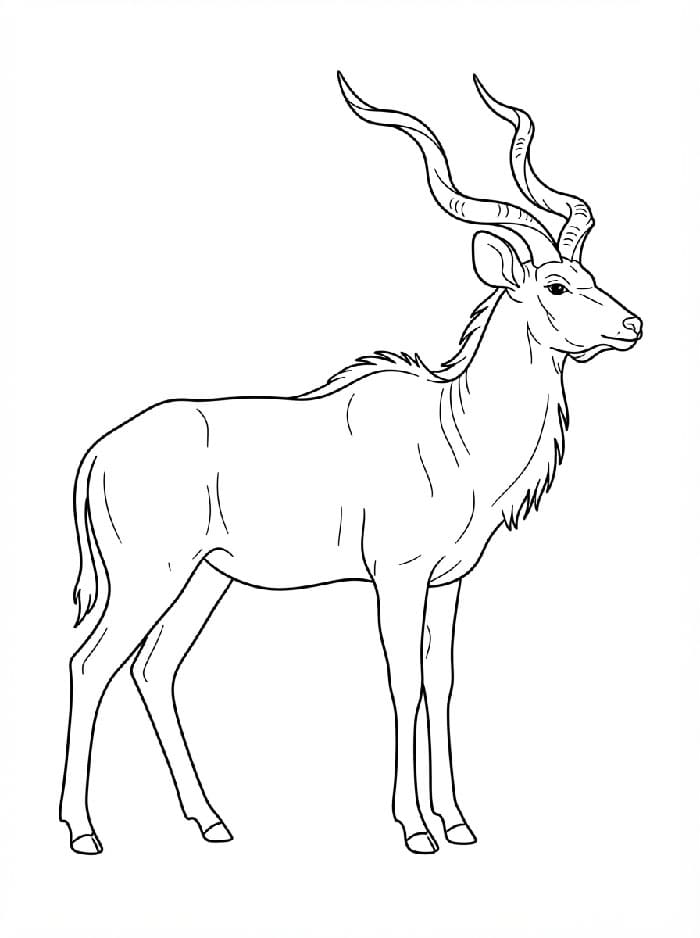 Antilope maestosa da colorare