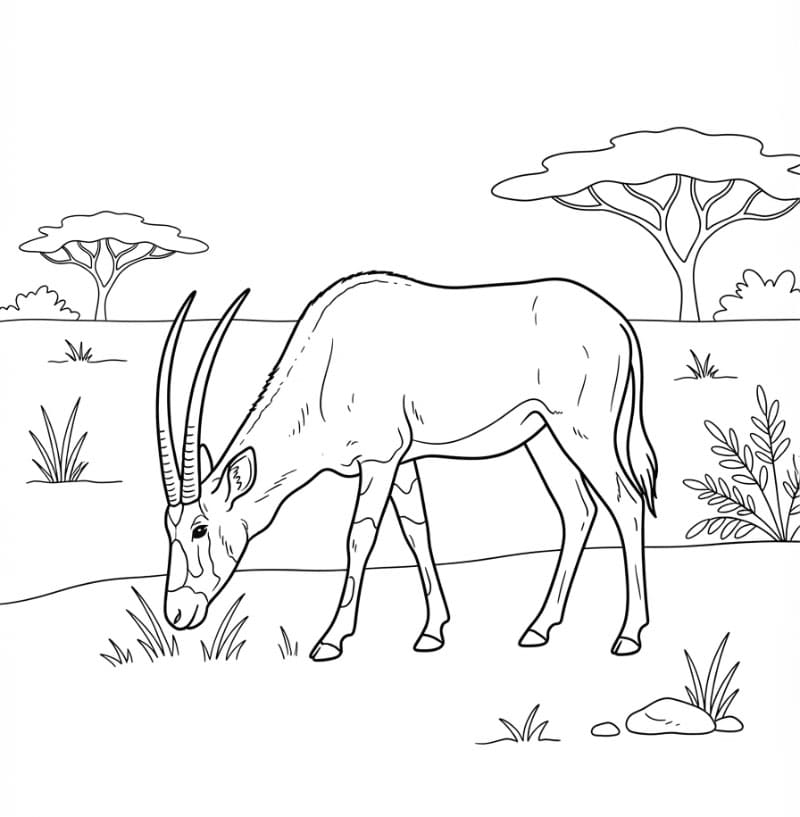 Antilope nella savana da colorare