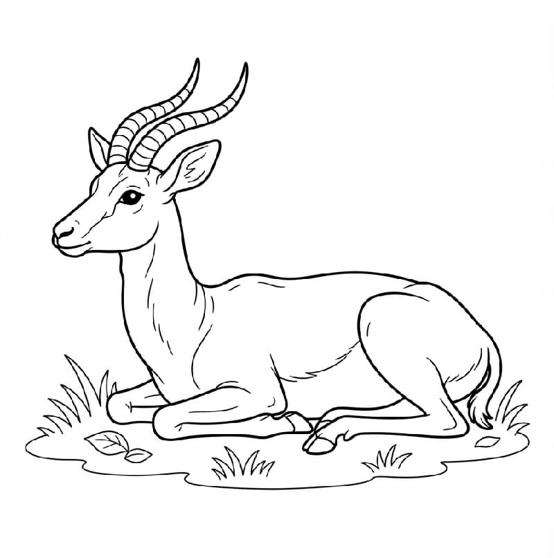 Antilope sdraiata da colorare