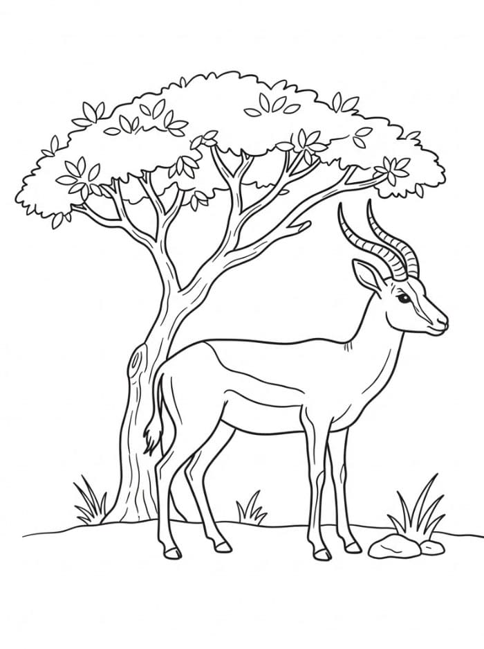 Antilope vicino a un albero da colorare