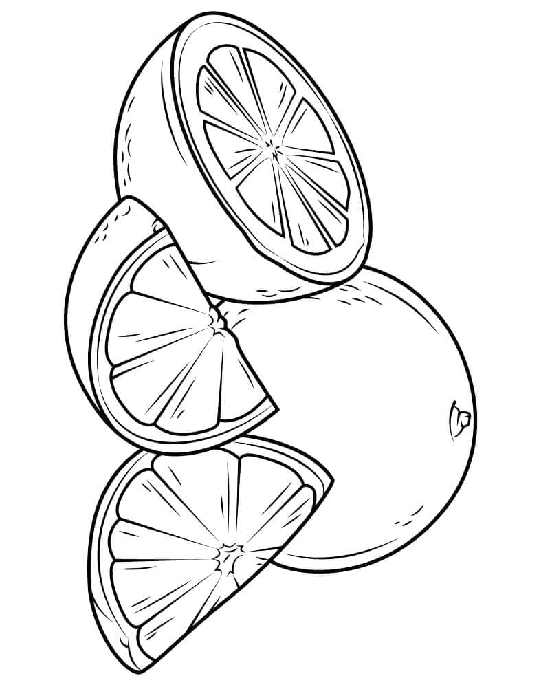 Arance e fette d'arancia da colorare