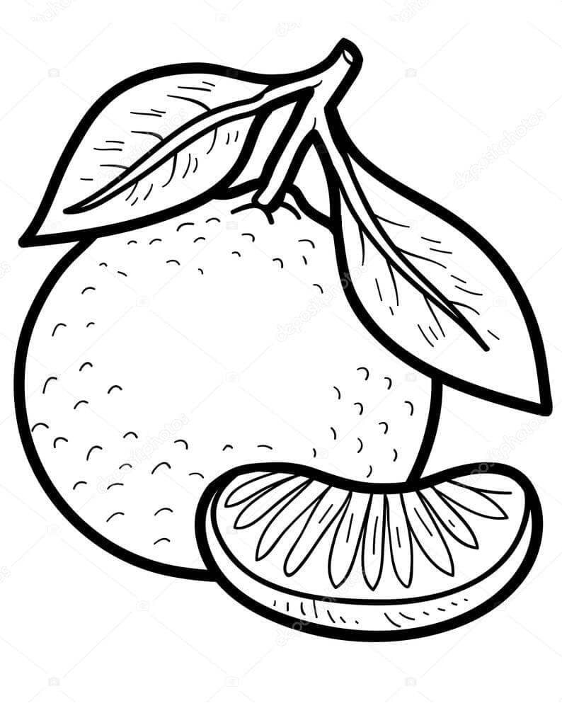 Arance e spicchi d'arancia da colorare