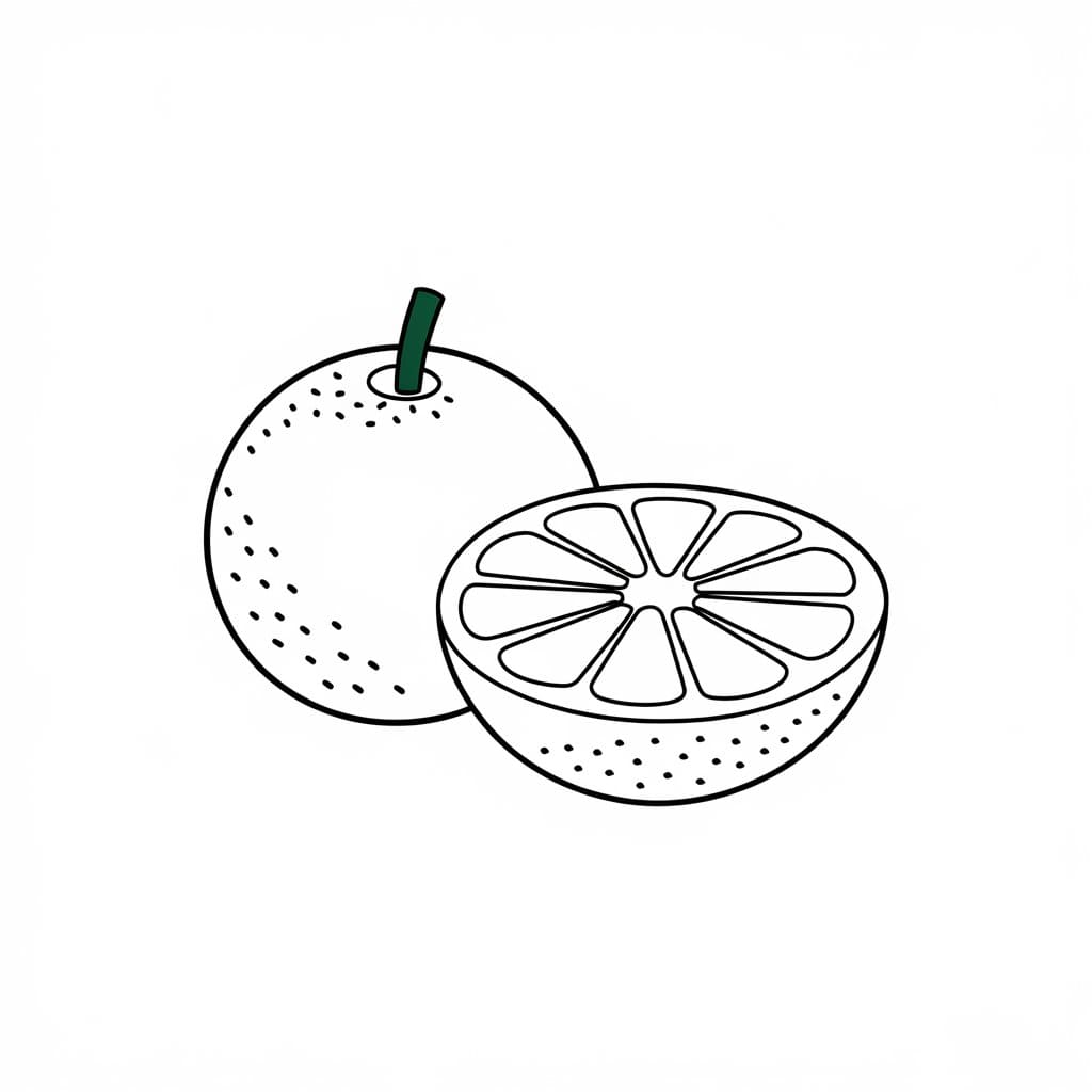 Arance per bambini da colorare