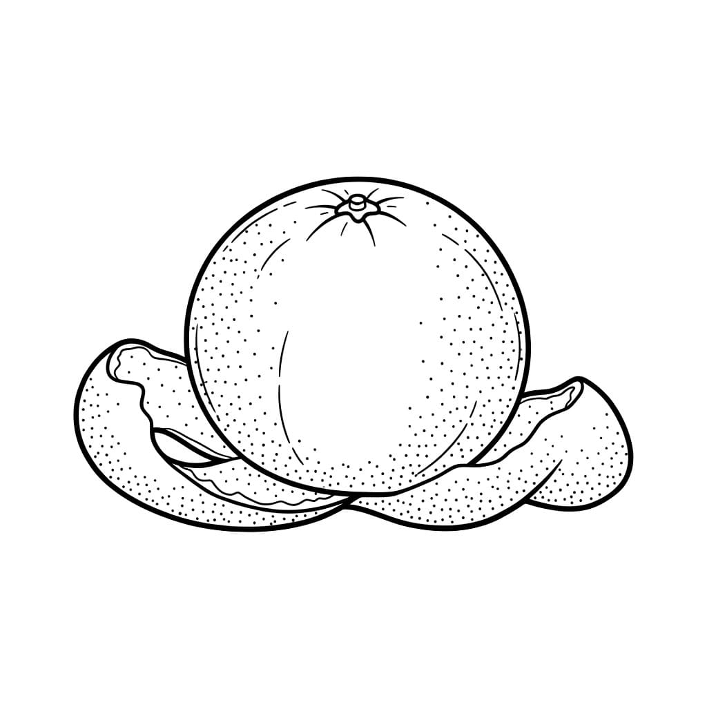 Arancia e buccia da colorare