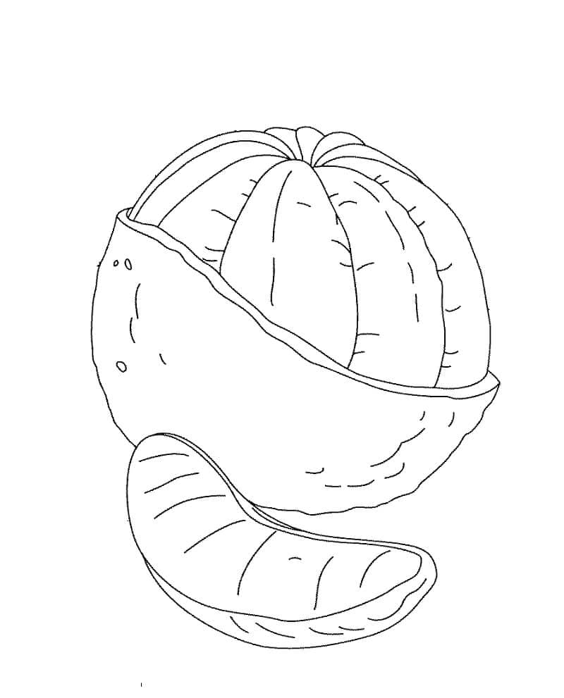 Arancia sbucciata da colorare