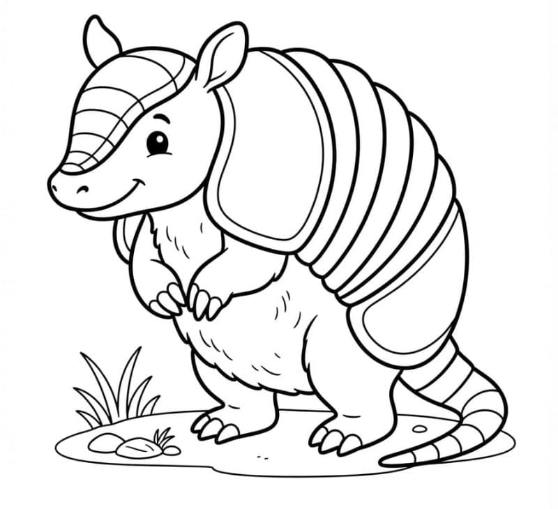 Armadillo adorabile da colorare