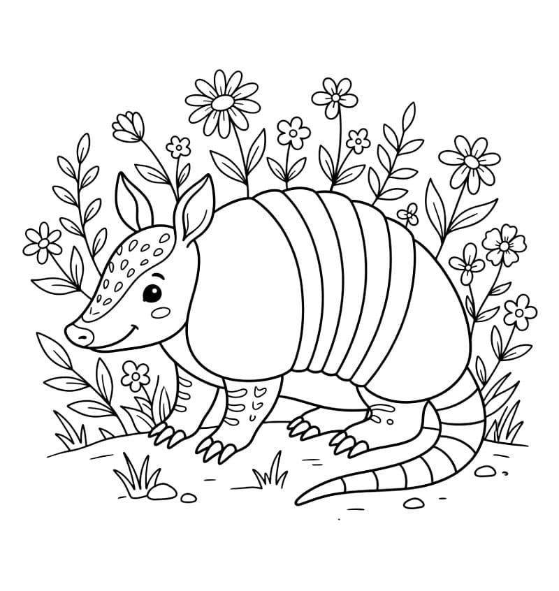 Armadillo con fiori da colorare