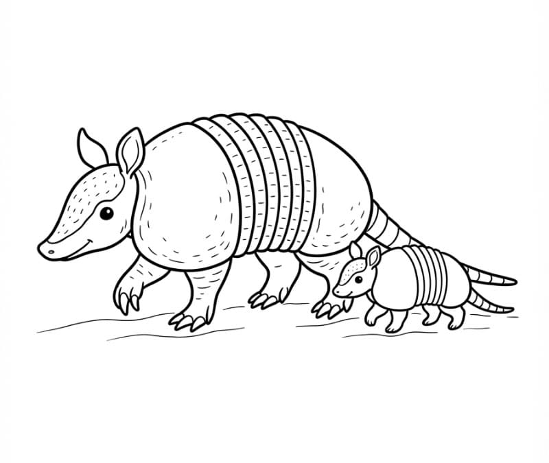 Armadillo con un piccolo da colorare