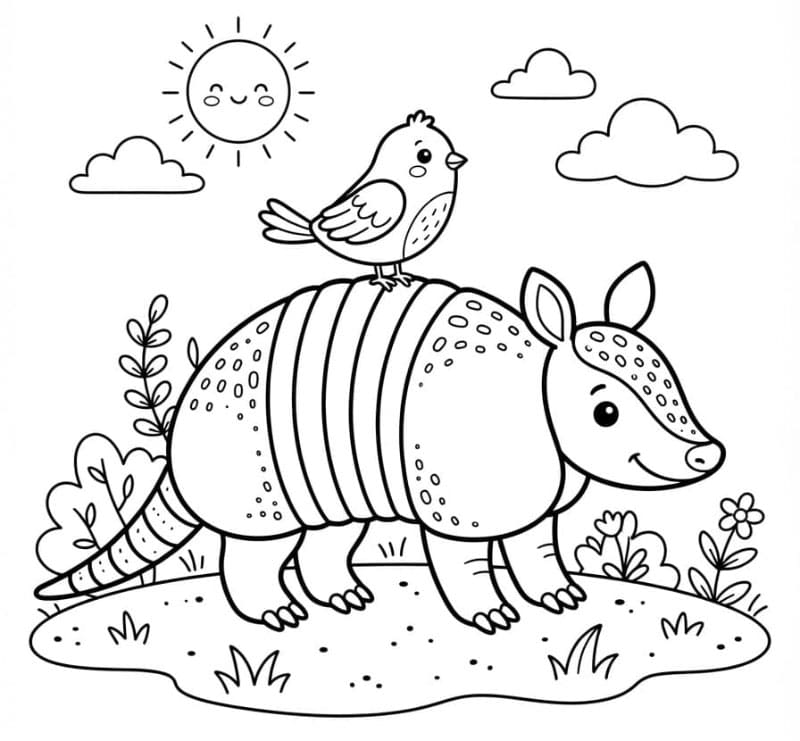 Armadillo con un uccello da colorare
