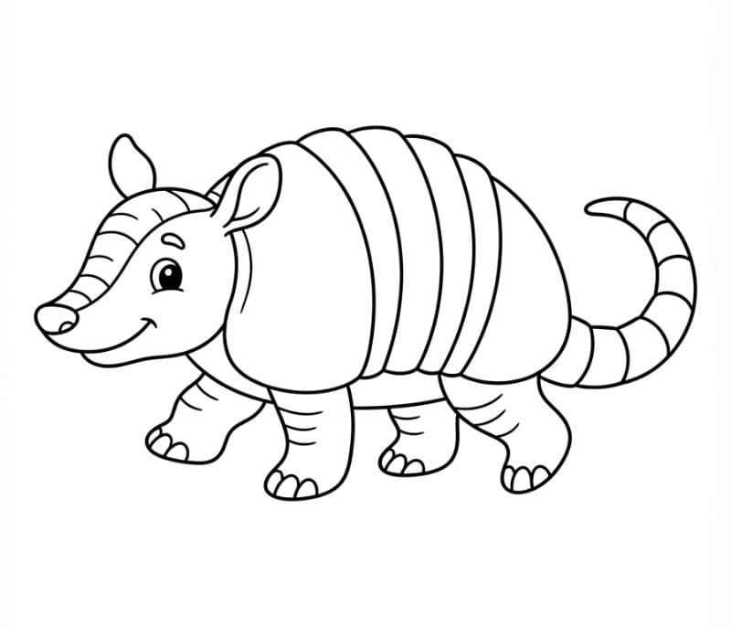 Armadilli
