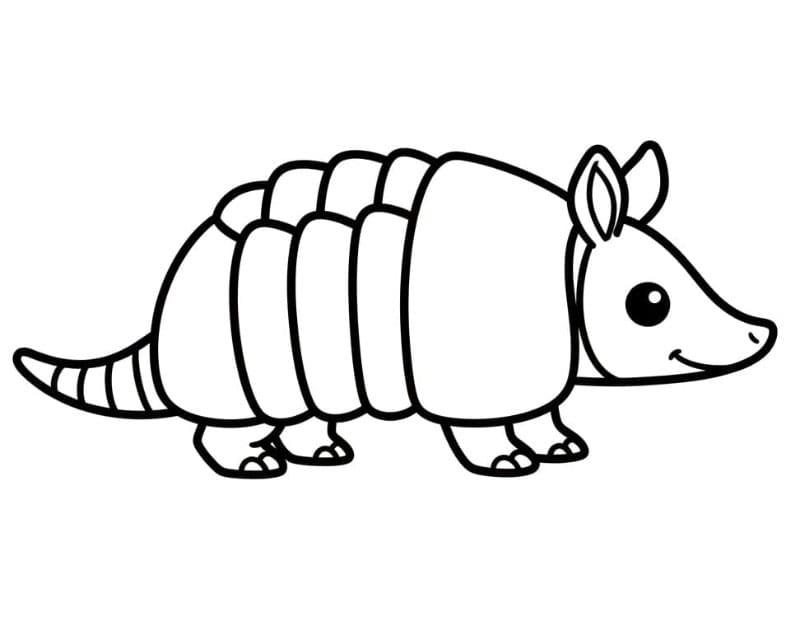 Armadillo semplice da colorare