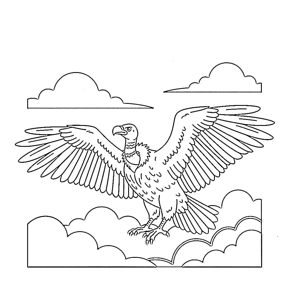 Avvoltoi tra le nuvole da colorare