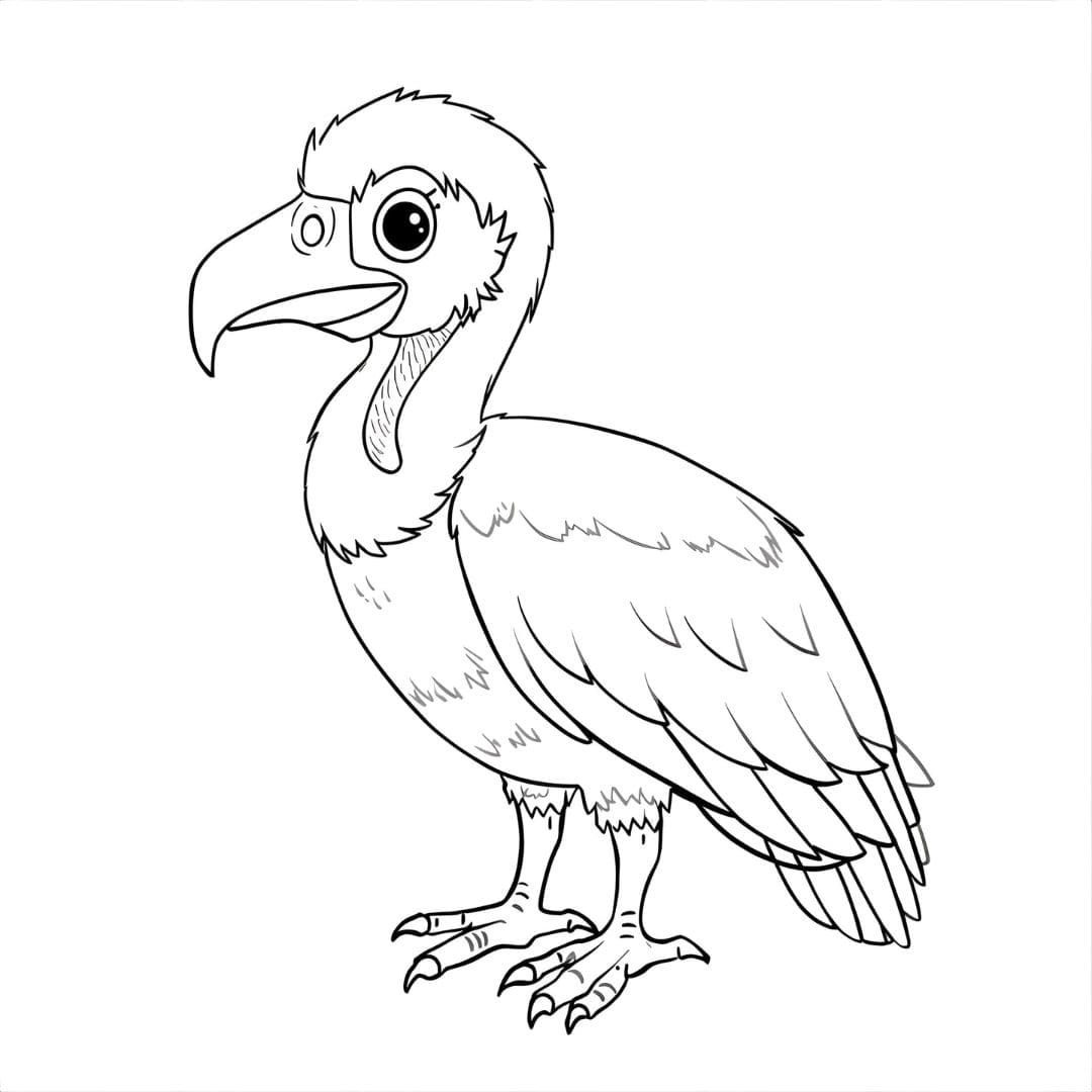 Avvoltoio semplice da colorare