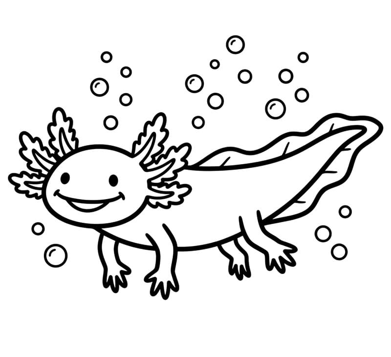 Axolotl con bolle da colorare