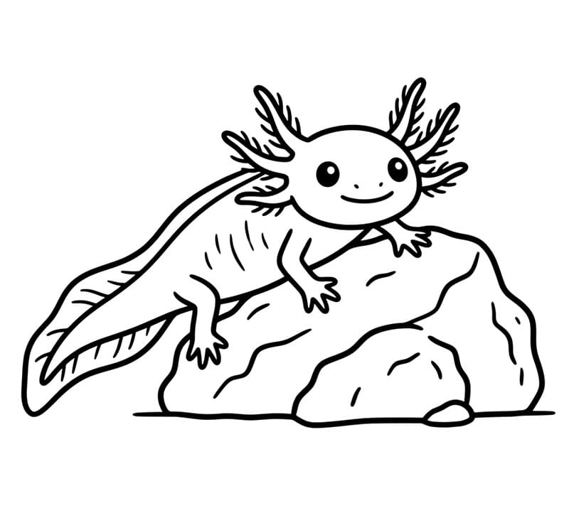 Axolotl con pietre da colorare