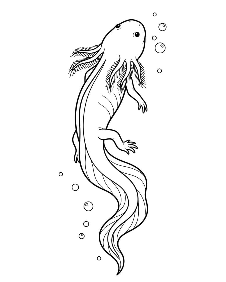 Axolotl e bolle d'acqua da colorare