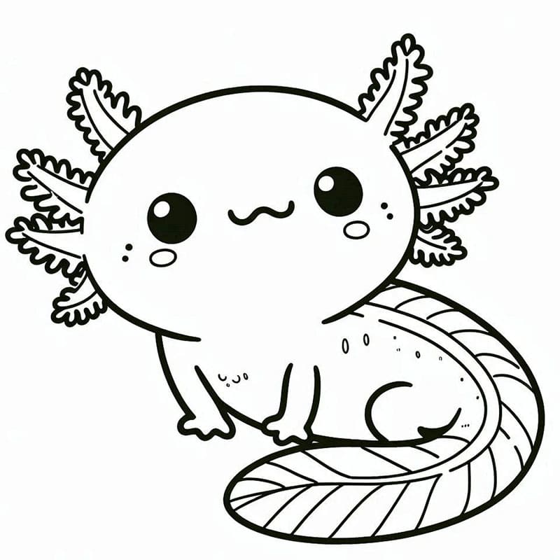 Axolotl grasso da colorare