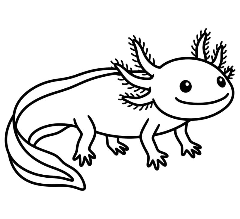 Axolotl semplice e gratuito da colorare