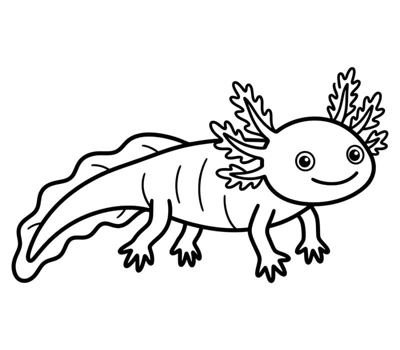 Axolotl semplice da colorare