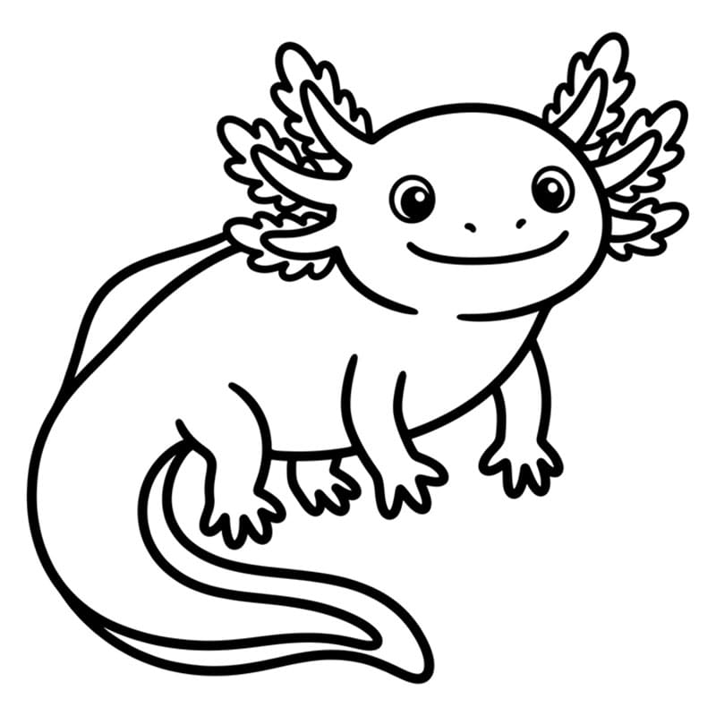 Axolotl senza da colorare